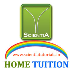 Best home tuition agency in Assam